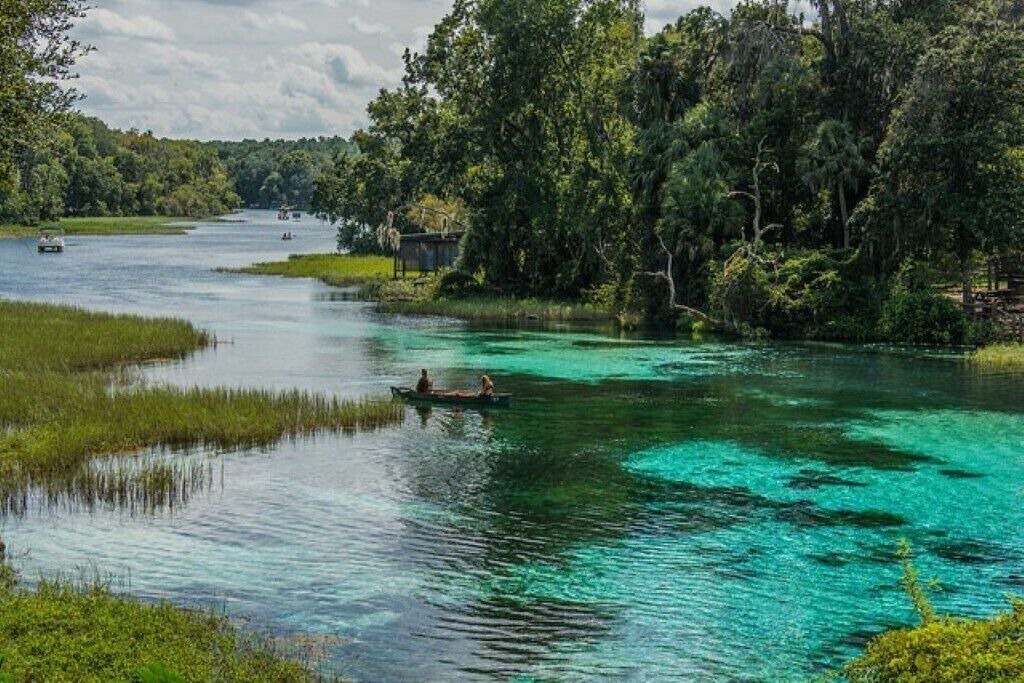 Photo of Others in Tallahassee