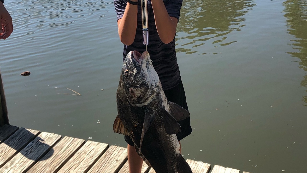 Photo of Others in Alligator Point