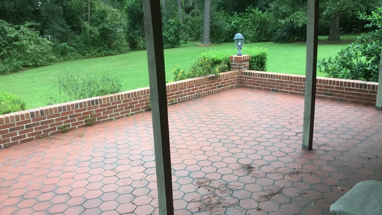 Photo of Others in Tallahassee