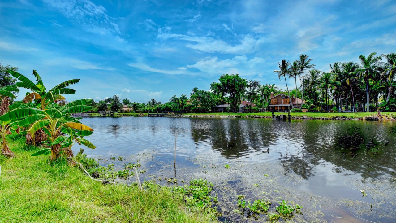 Photo of Outdoor in Tropic Palms