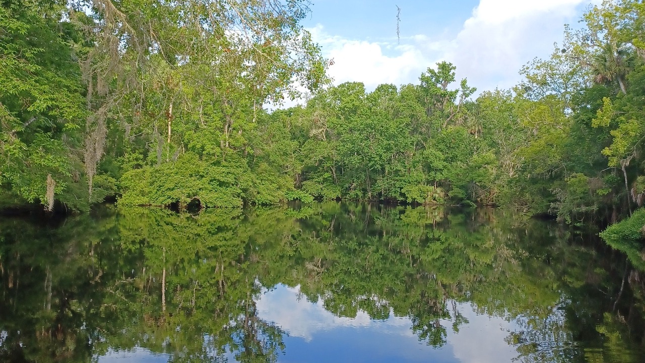 Photo of Others in Perry