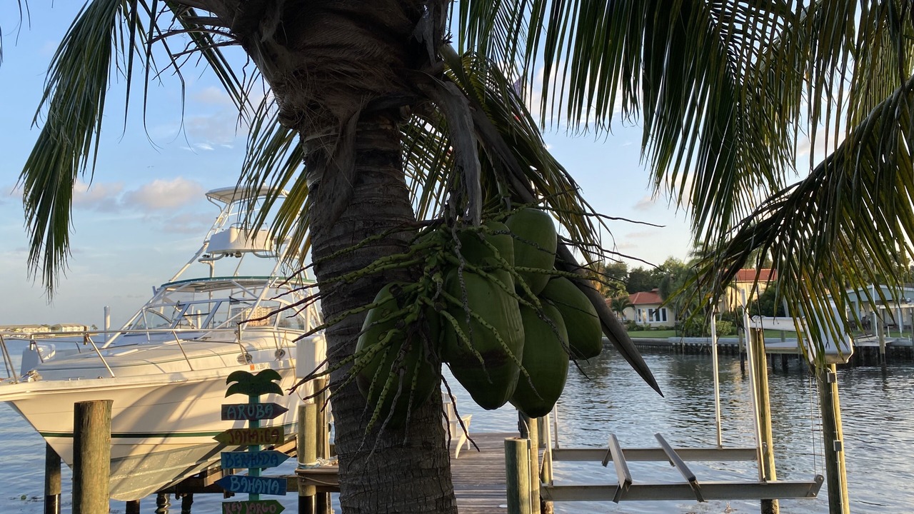 Photo of Outdoor in Coquina Key
