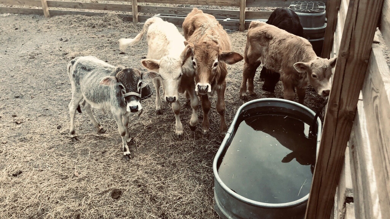 Photo of Others in Westside