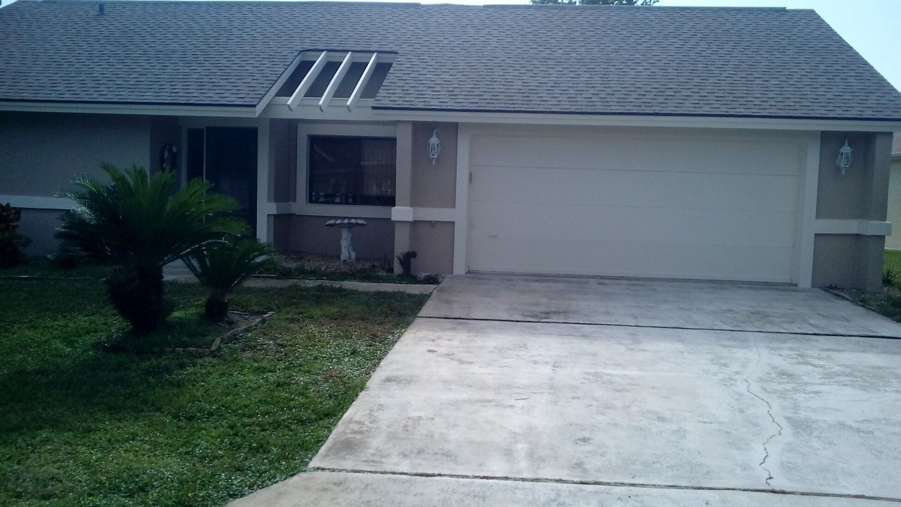 Photo of Others in Palm Harbor