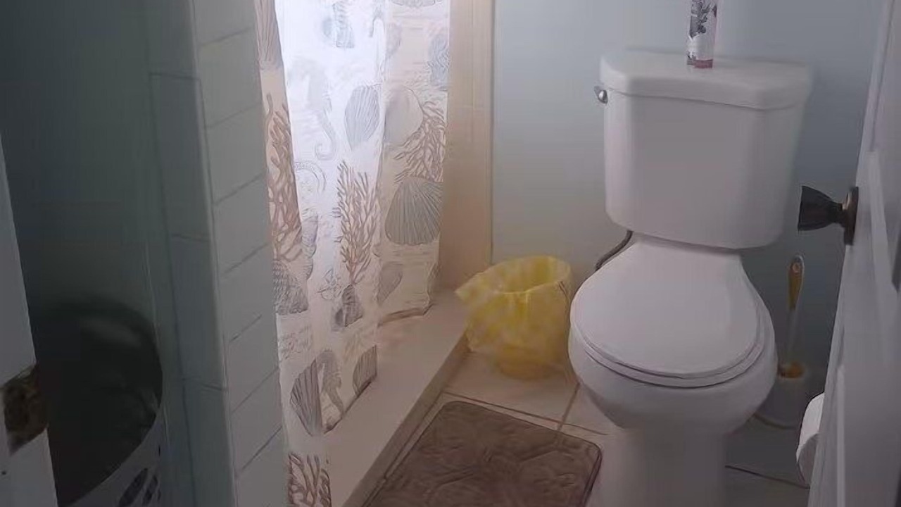 Photo of Bathroom in Palm Harbor