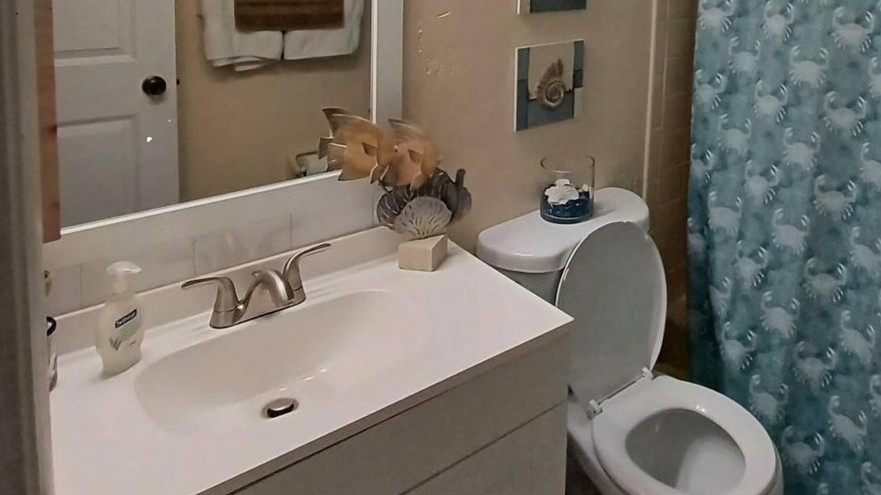 Photo of Bathroom in Palm Harbor