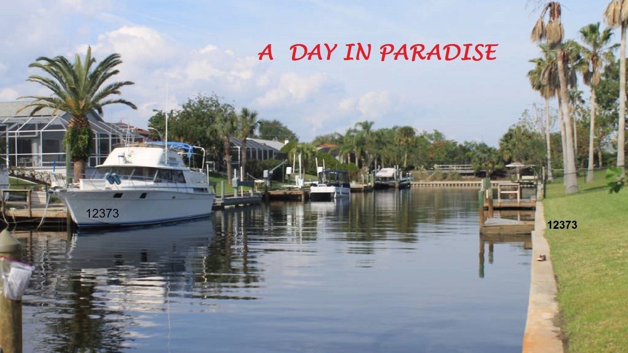 Photo of Others in Palm Harbor