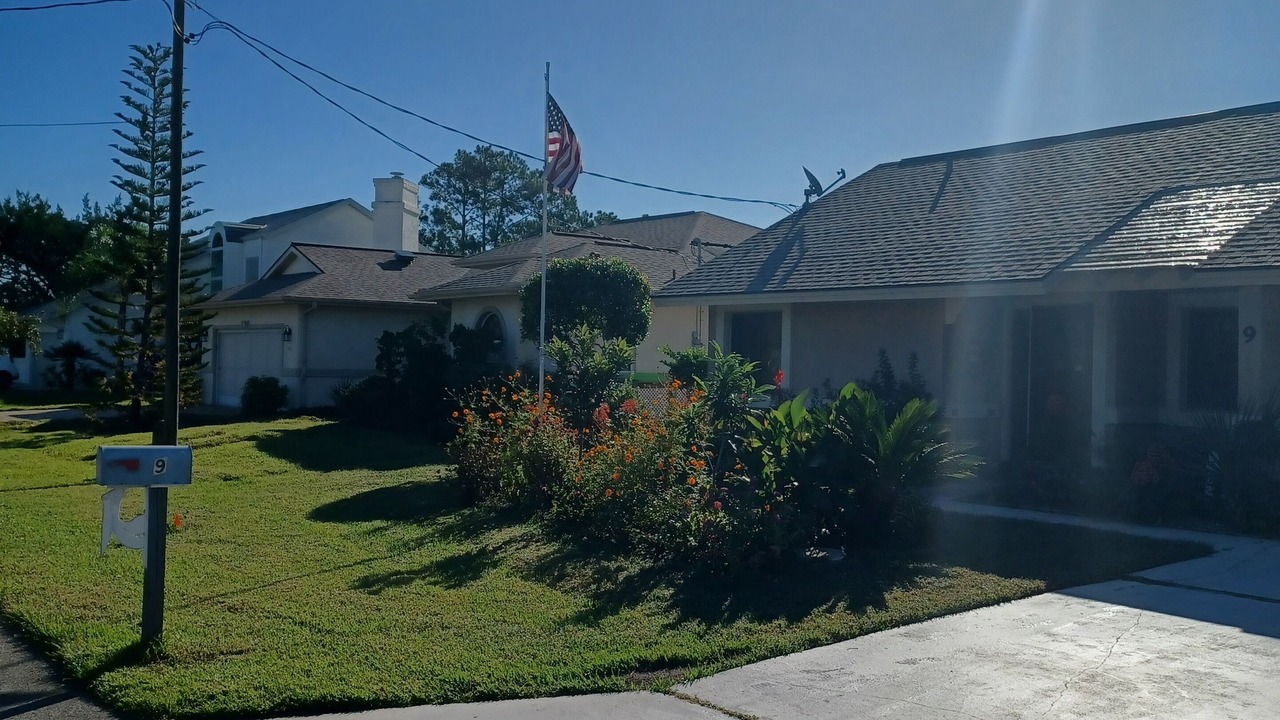 Photo of Others in Palm Harbor
