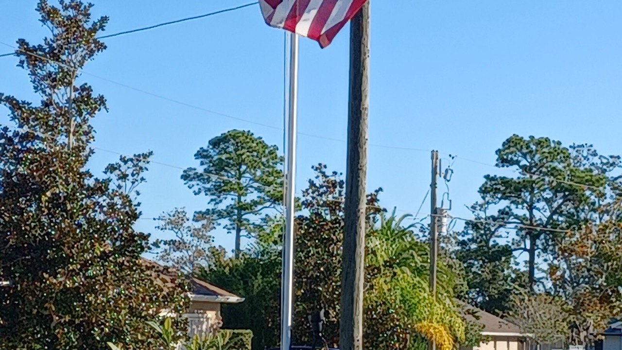 Photo of Others in Palm Harbor