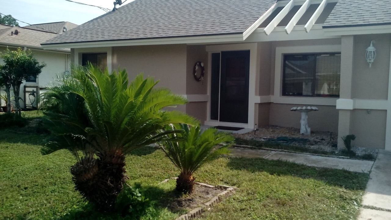 Photo of Outdoor in Palm Harbor