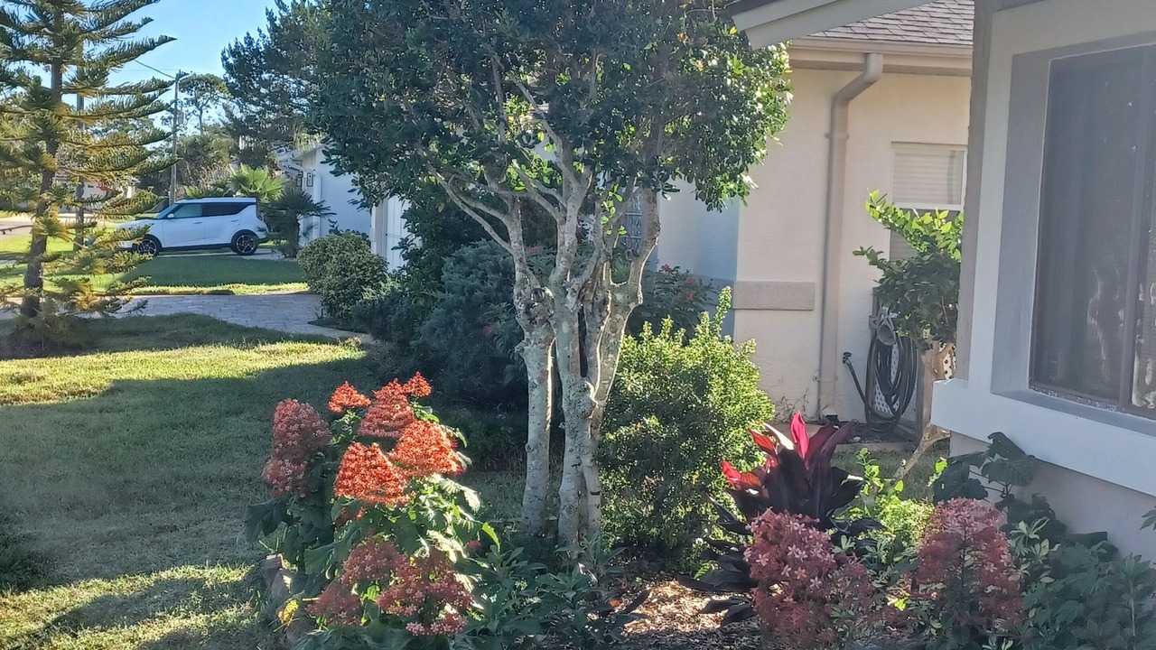 Photo of Others in Palm Harbor