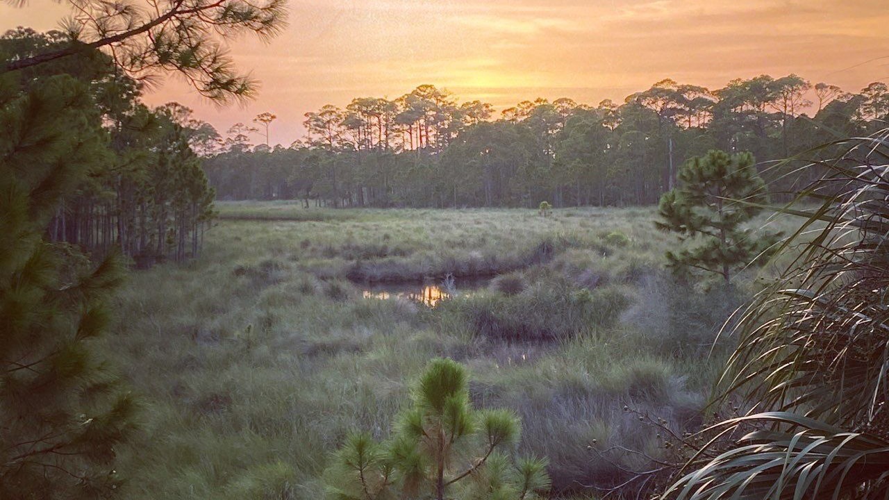 Photo of Others in Alligator Point