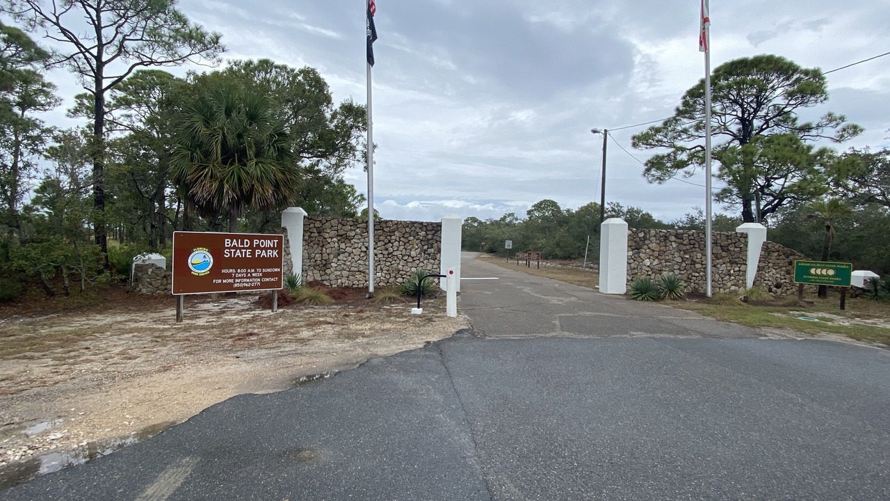 Photo of Outdoor in Alligator Point