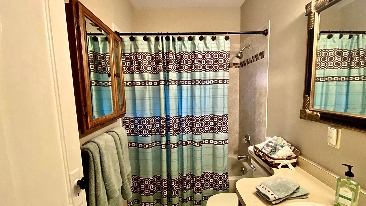 Photo of Bathroom in Safety Harbor