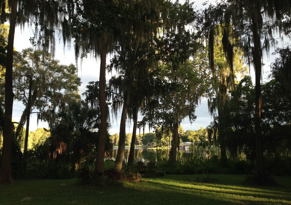 Photo of Outdoor in Greater Northdale