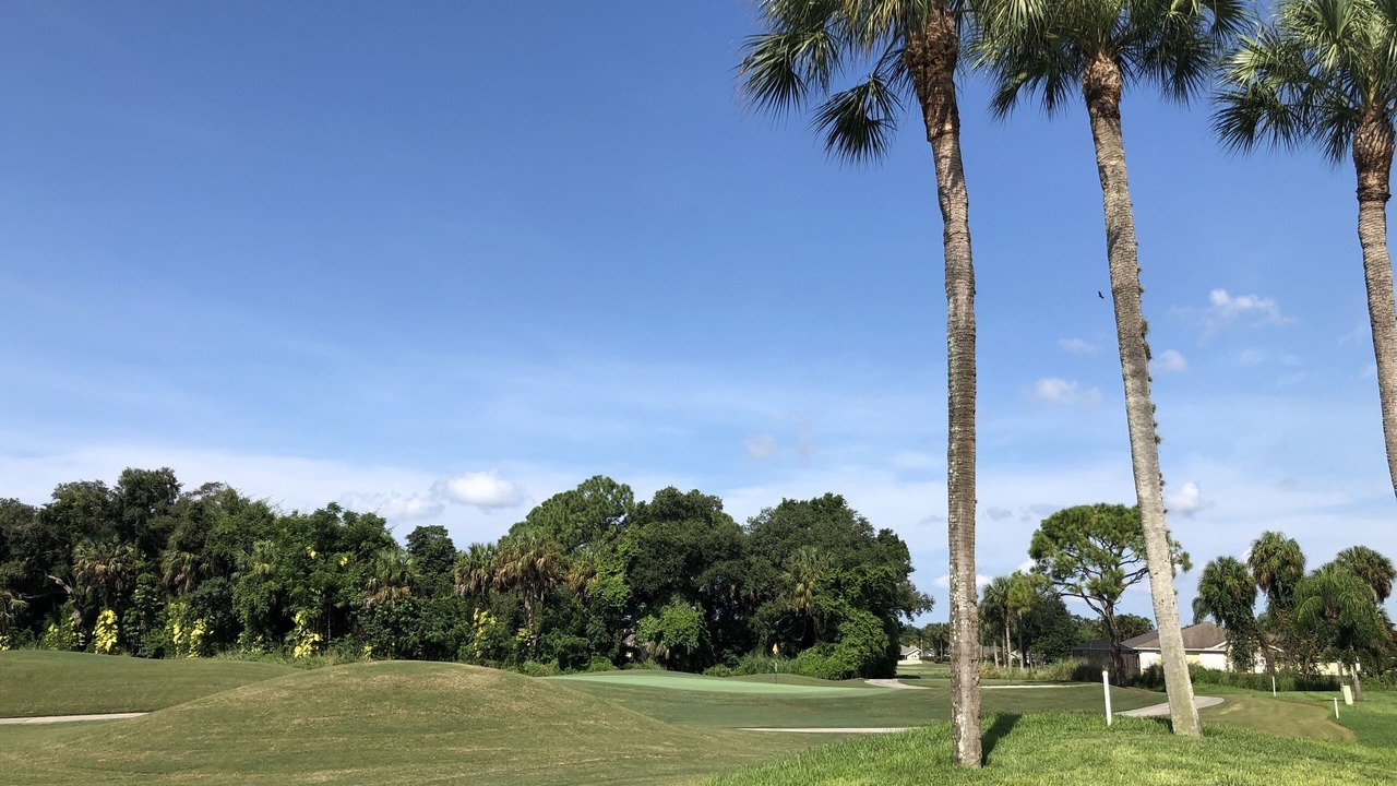 Photo of Others in Estero