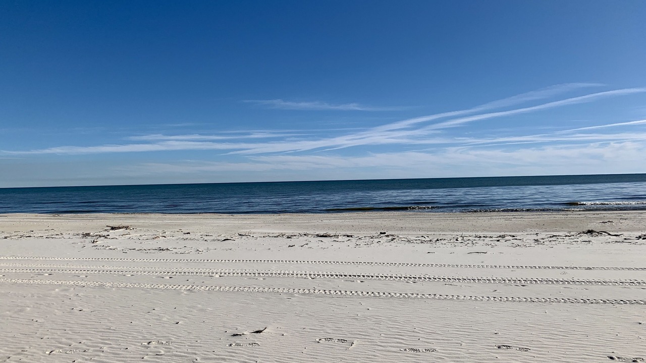 Photo of Others in Cape San Blas