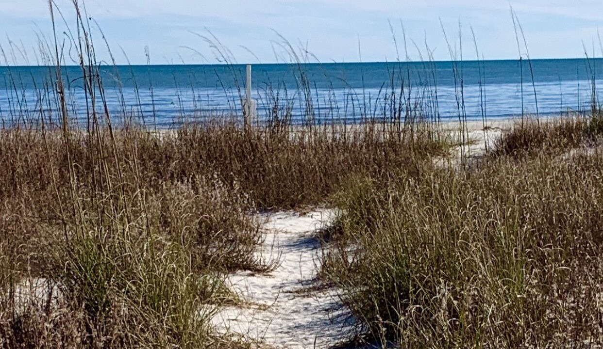 Photo of Others in Cape San Blas