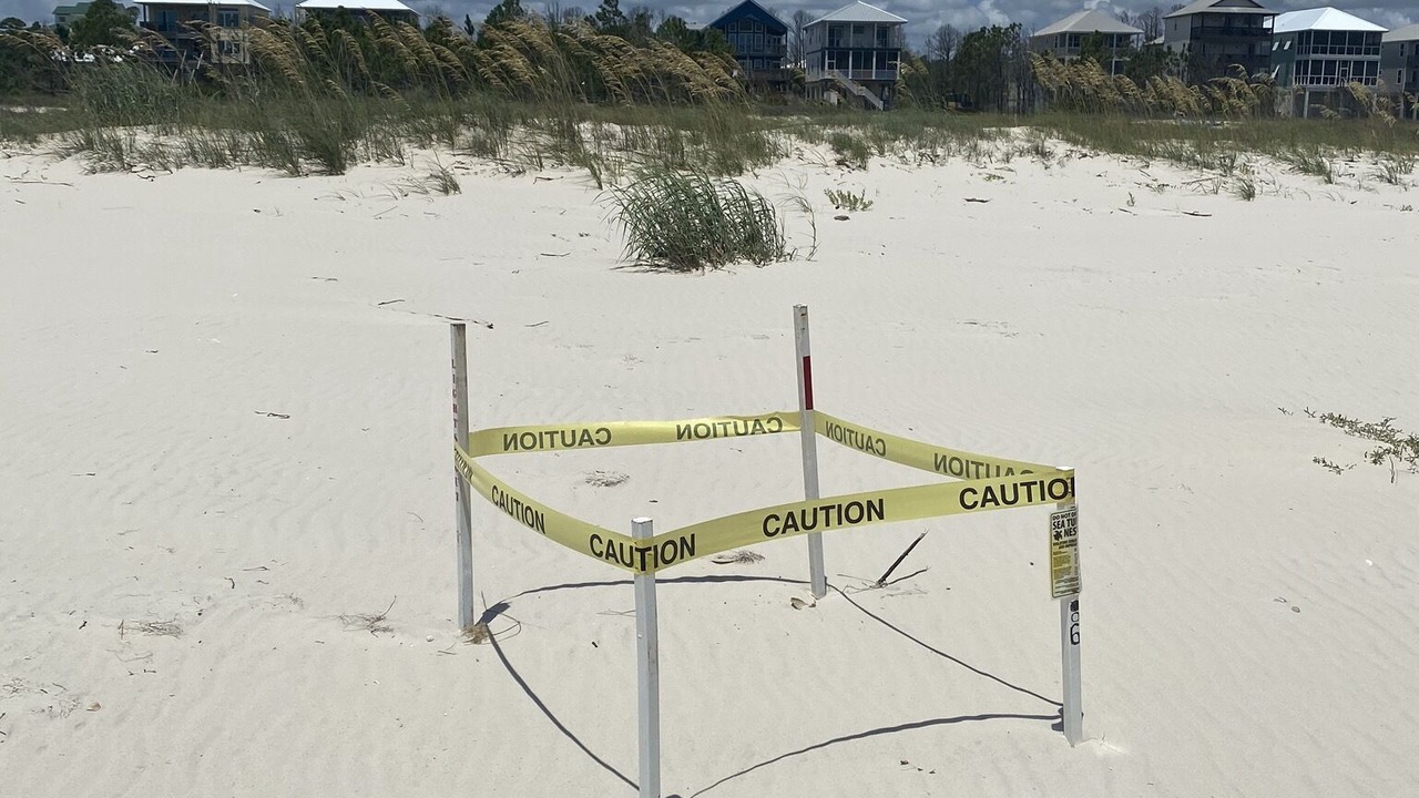 Photo of Others in Cape San Blas