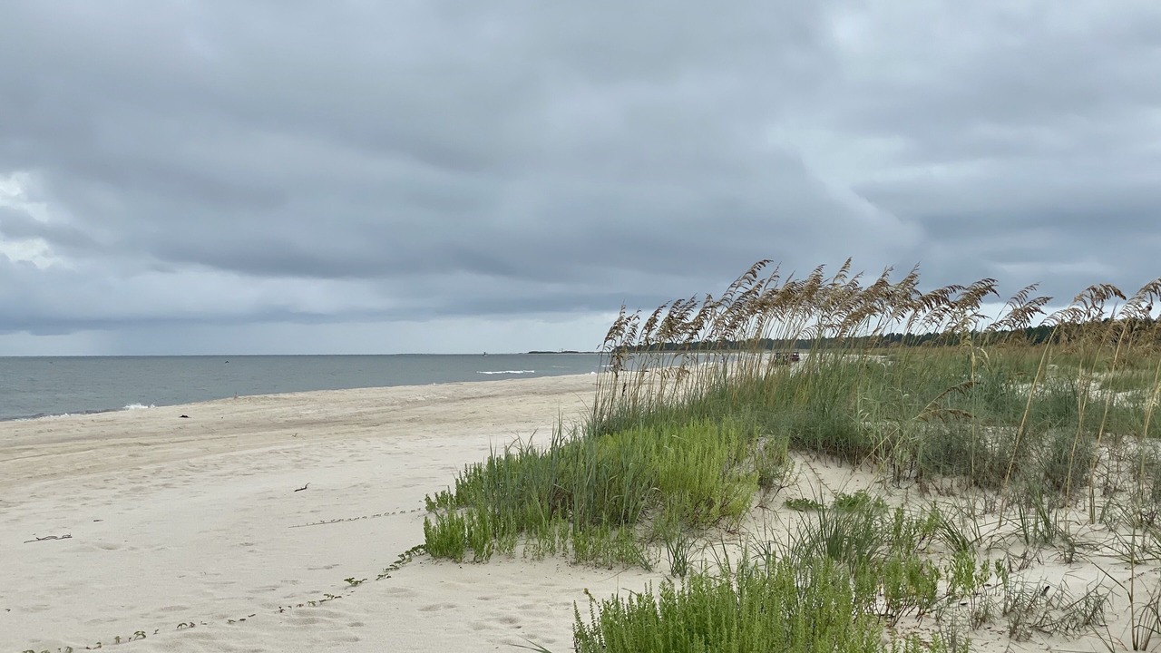 Photo of Others in Cape San Blas