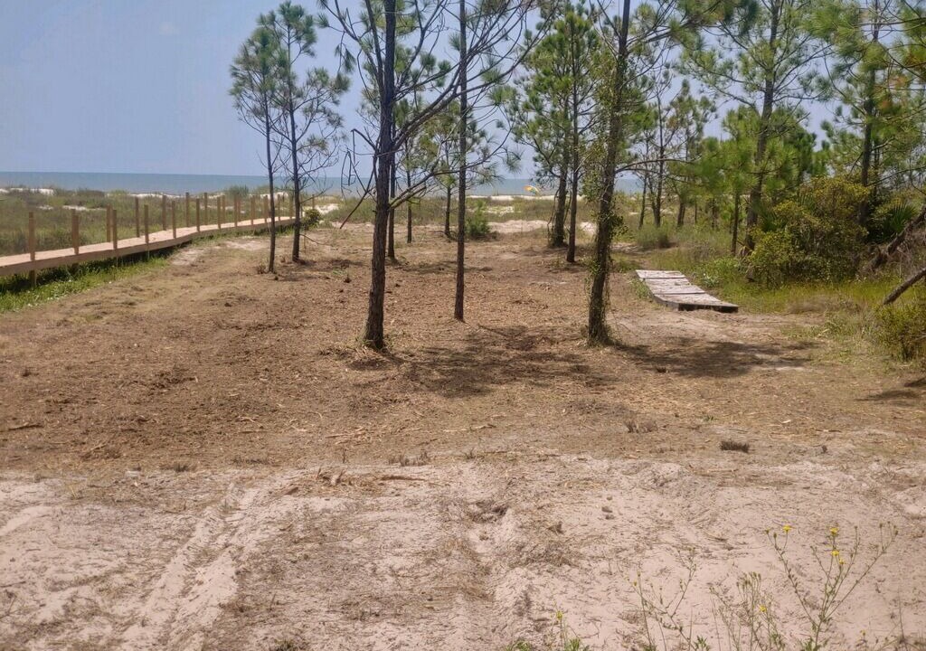 Photo of Others in Cape San Blas