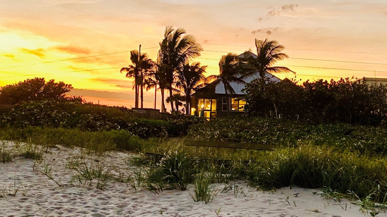 Photo of Others in Orlando Beach