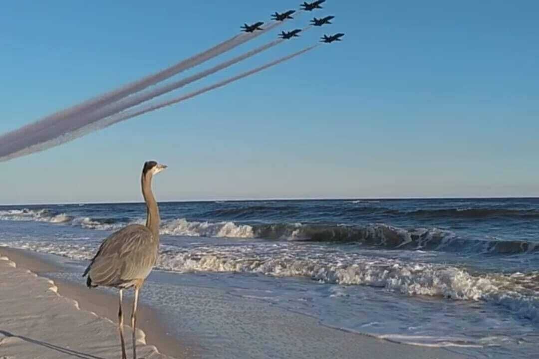 Photo of Others in Southeast Pensacola