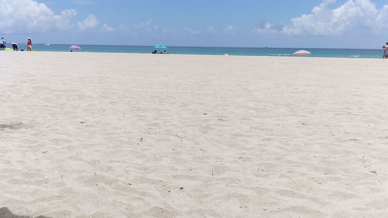 Photo of Others in Hollywood South Central Beach