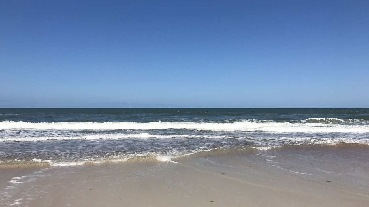 Photo of Others in Ormond-by-the-Sea