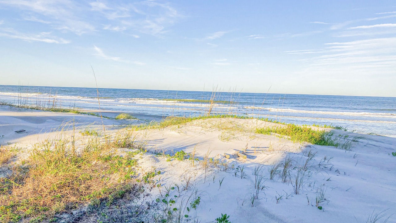 Photo of Others in Ponte Vedra Beach