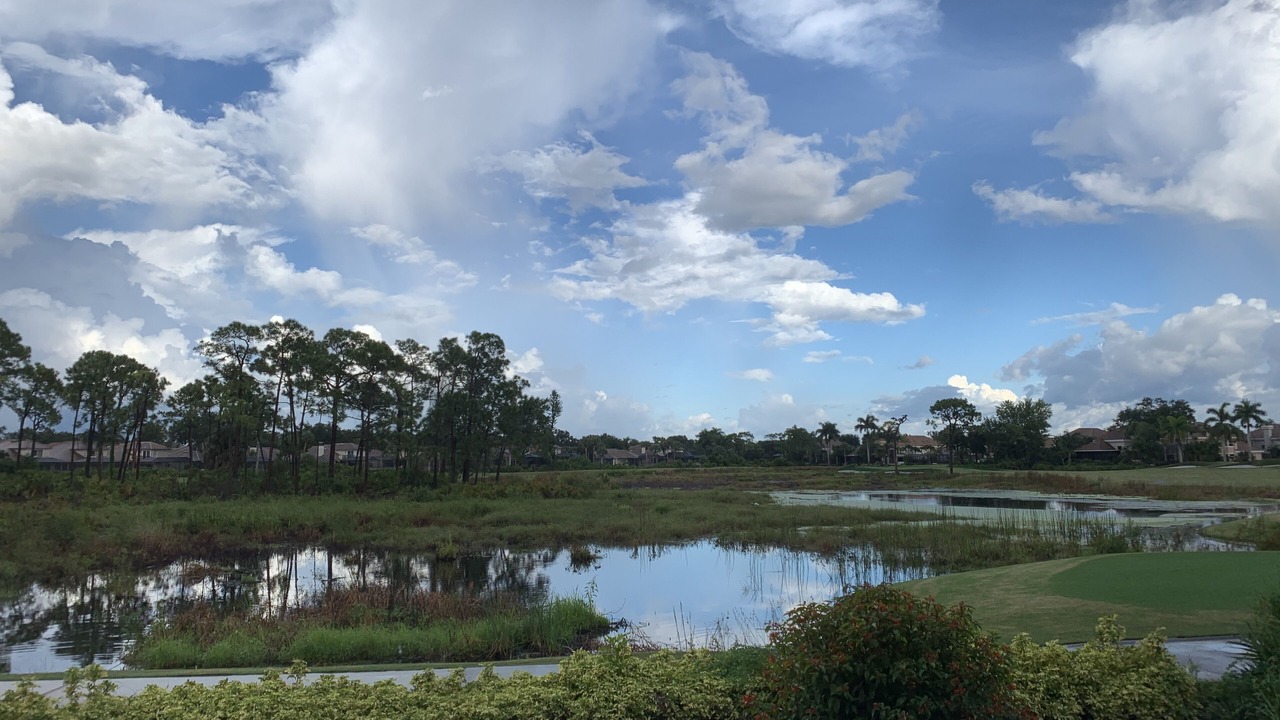 Photo of Others in Bonita Bay