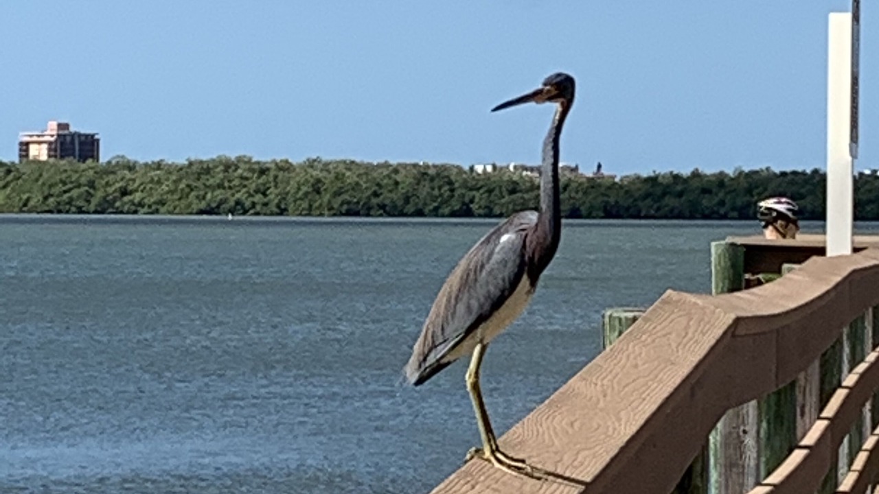 Photo of Outdoor in Bonita Bay