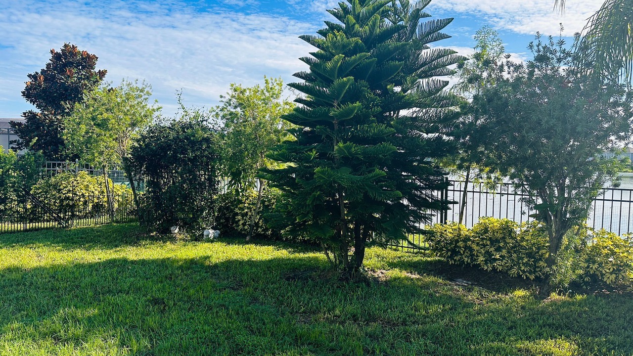 Photo of Outdoor in DeLand