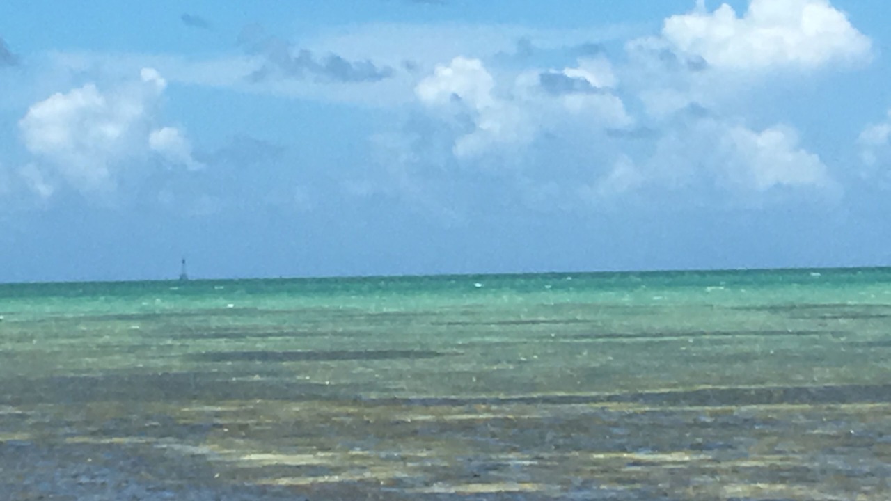 Photo of Others in Islamorada