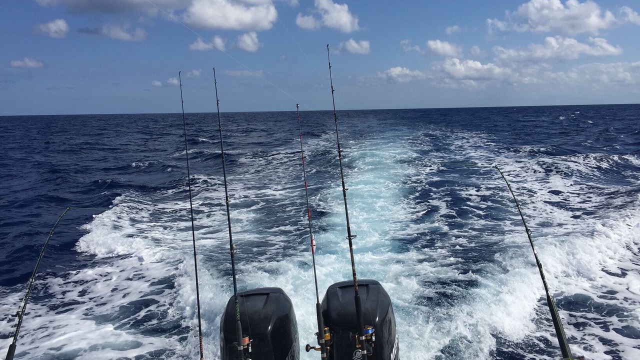 Photo of Others in Islamorada