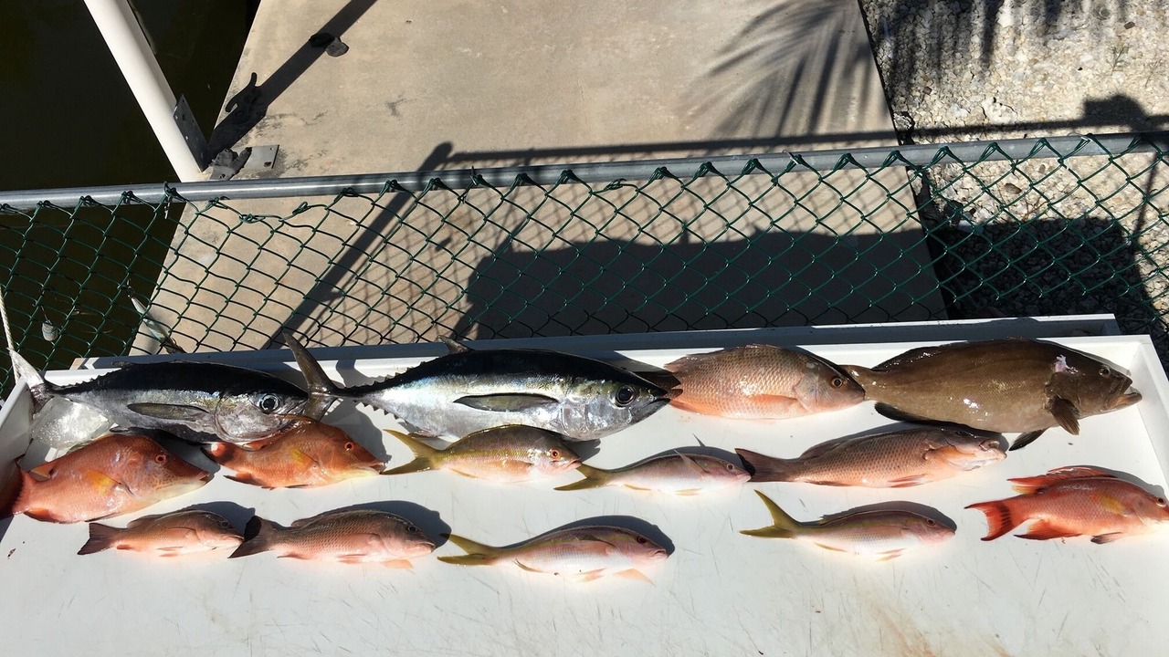 Photo of Outdoor in Islamorada