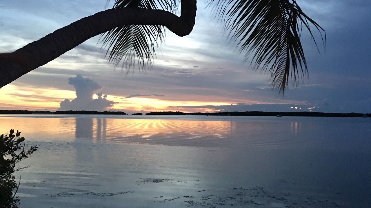 Photo of Others in Islamorada