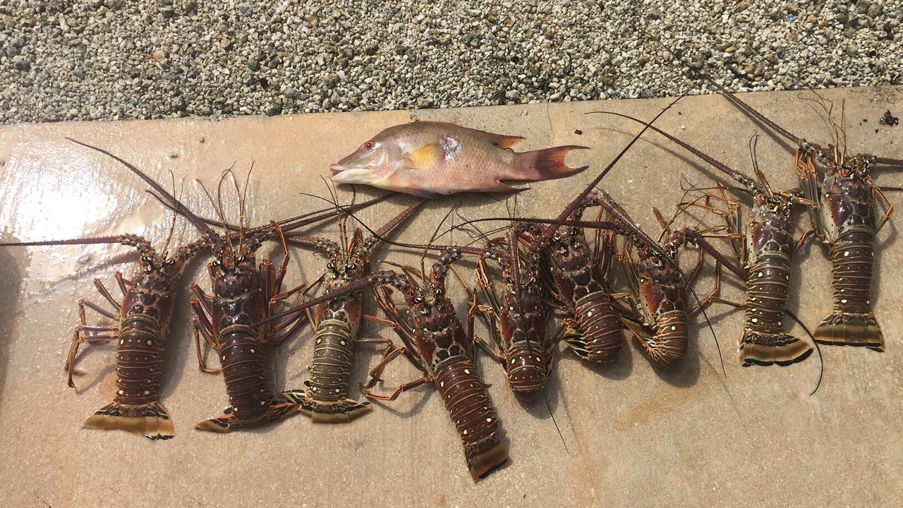Photo of Outdoor in Islamorada