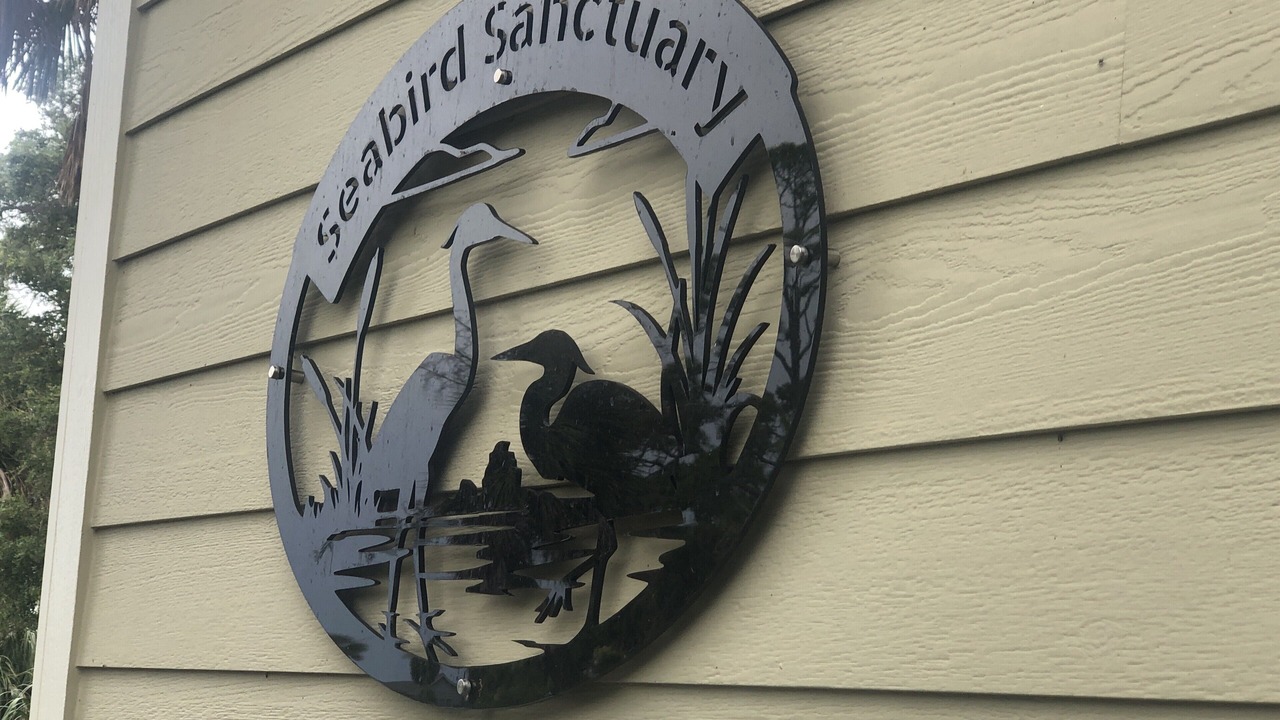 Photo of Others in Saint Helena Island