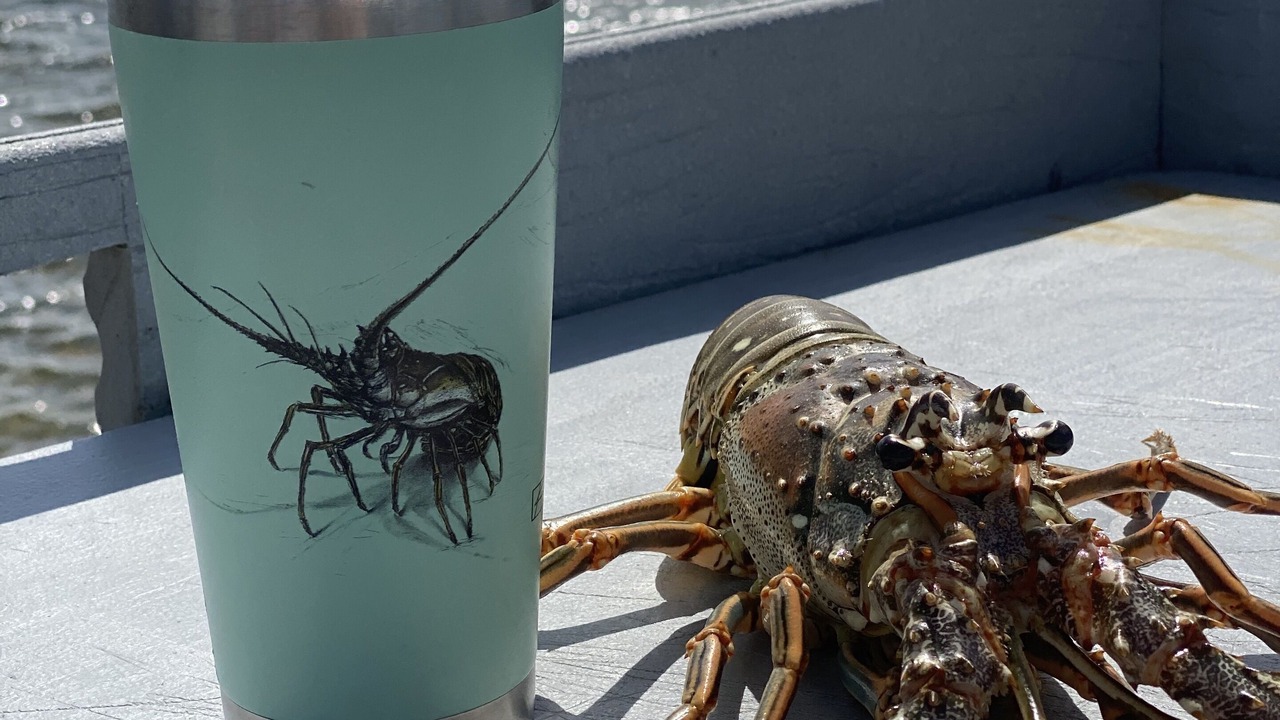 Photo of Others in Islamorada