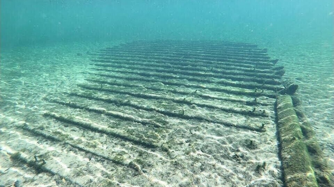 Photo of Others in Branford