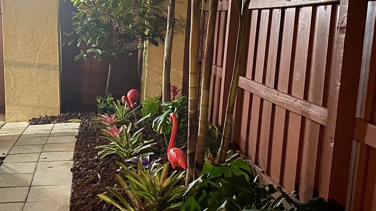 Photo of Outdoor in Titusville