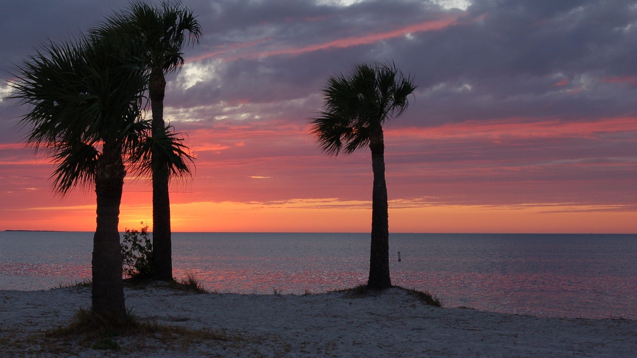 Photo of Others in Tarpon Springs