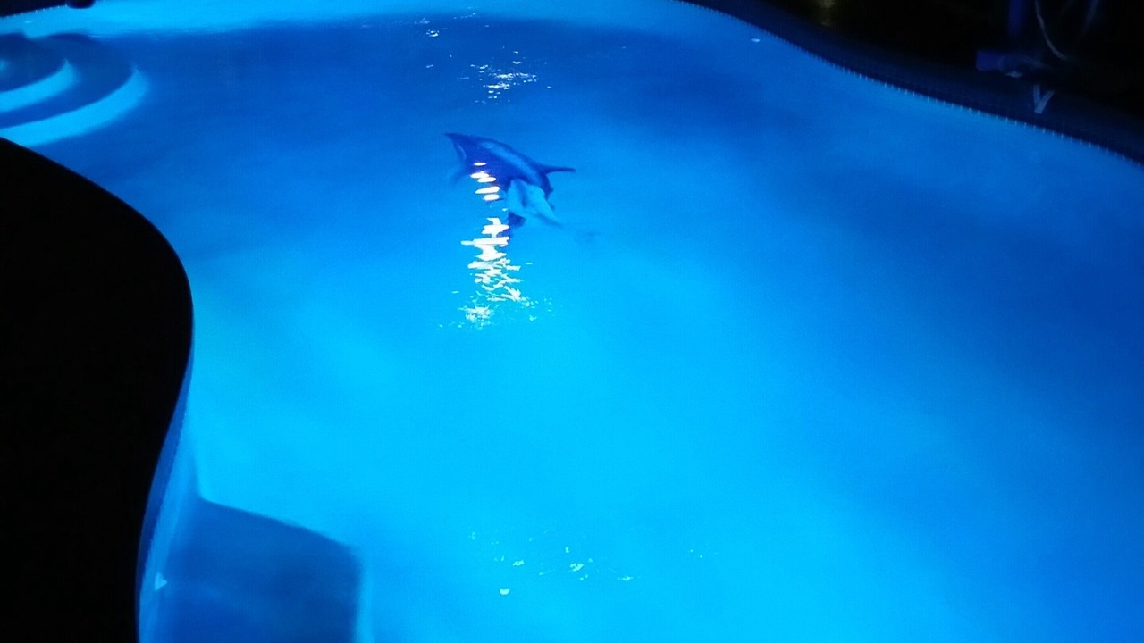Photo of Outdoor in Lindfields