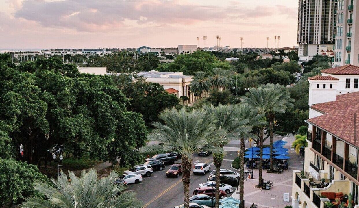 Photo of Outdoor in St. Petersburg - Clearwater