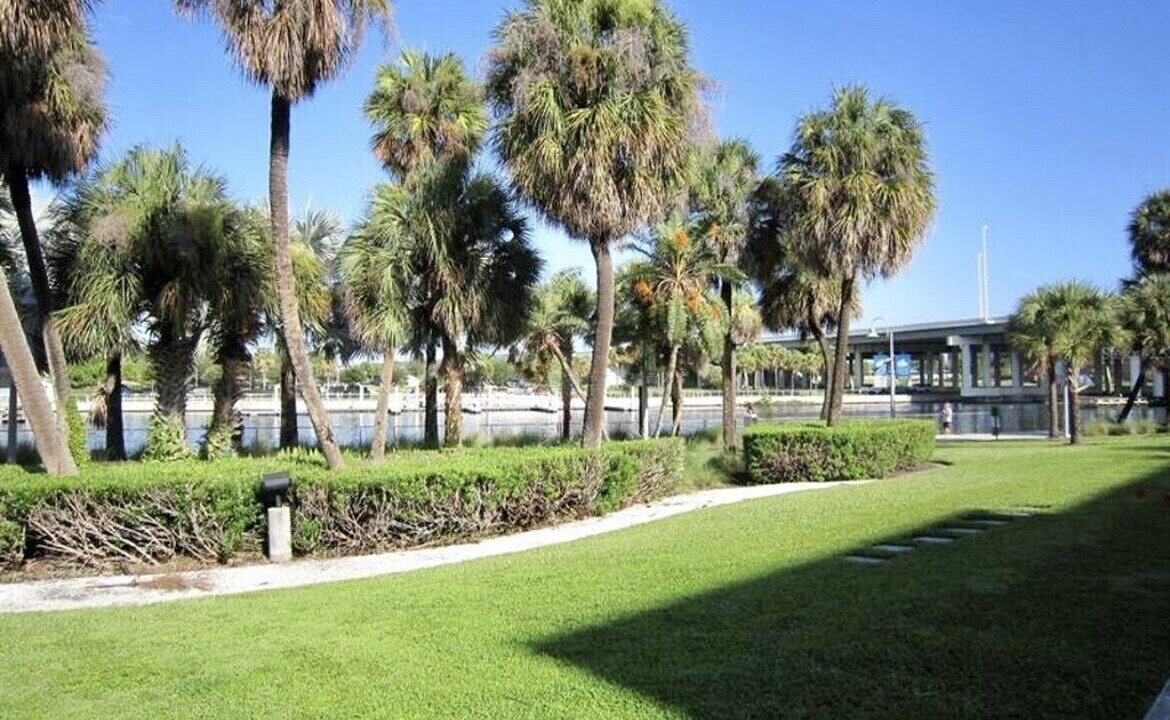 Photo of Outdoor in Downtown Tampa