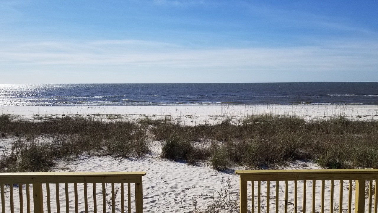 Photo of Others in Alligator Point