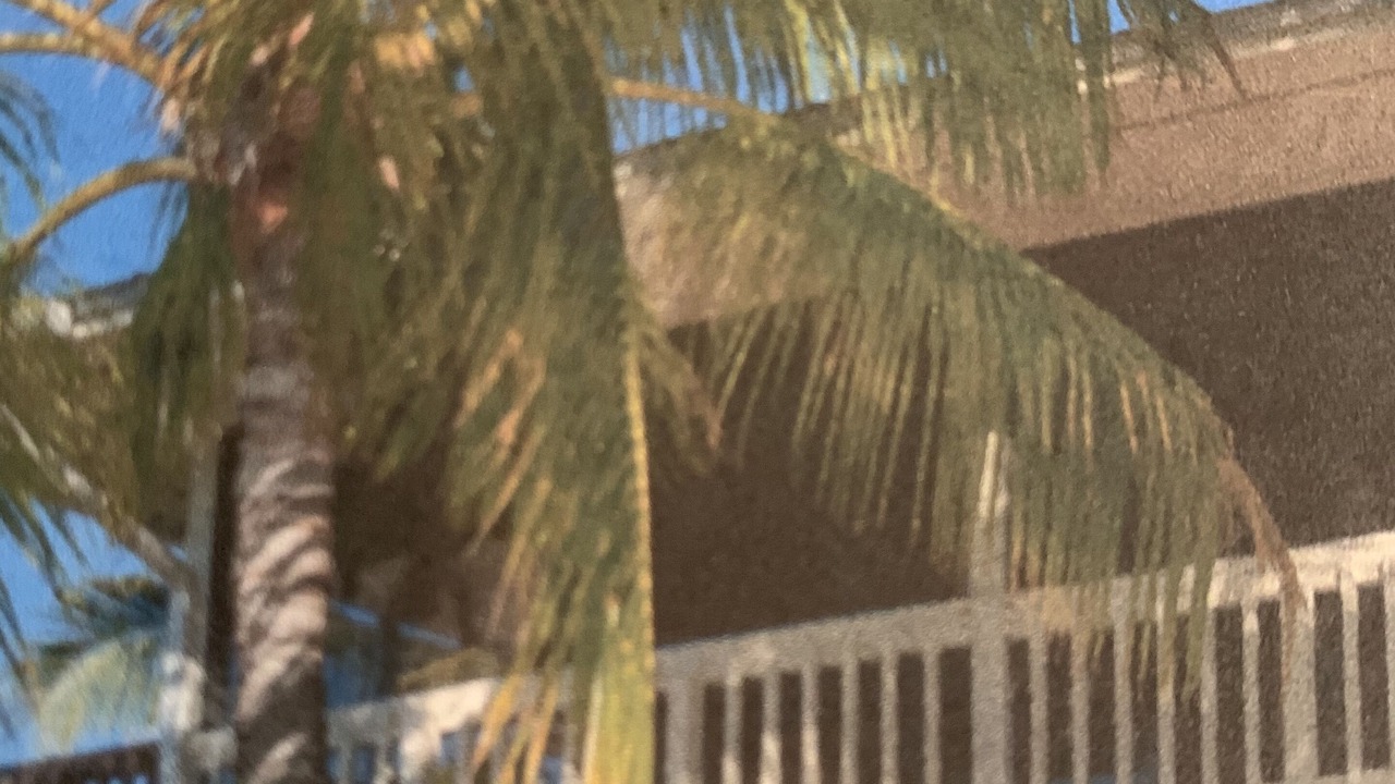 Photo of Outdoor in Port Pine Heights