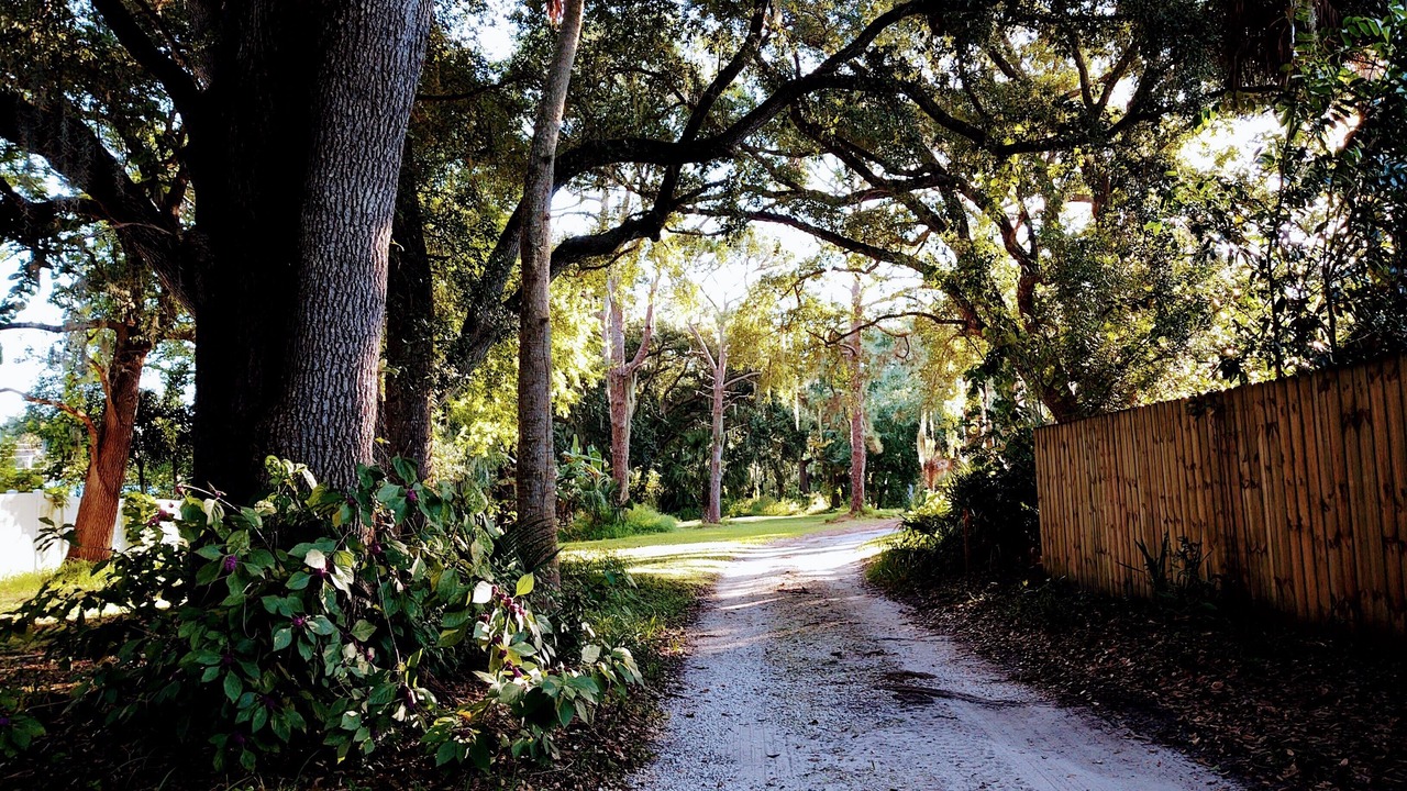 Photo of Outdoor in Titusville