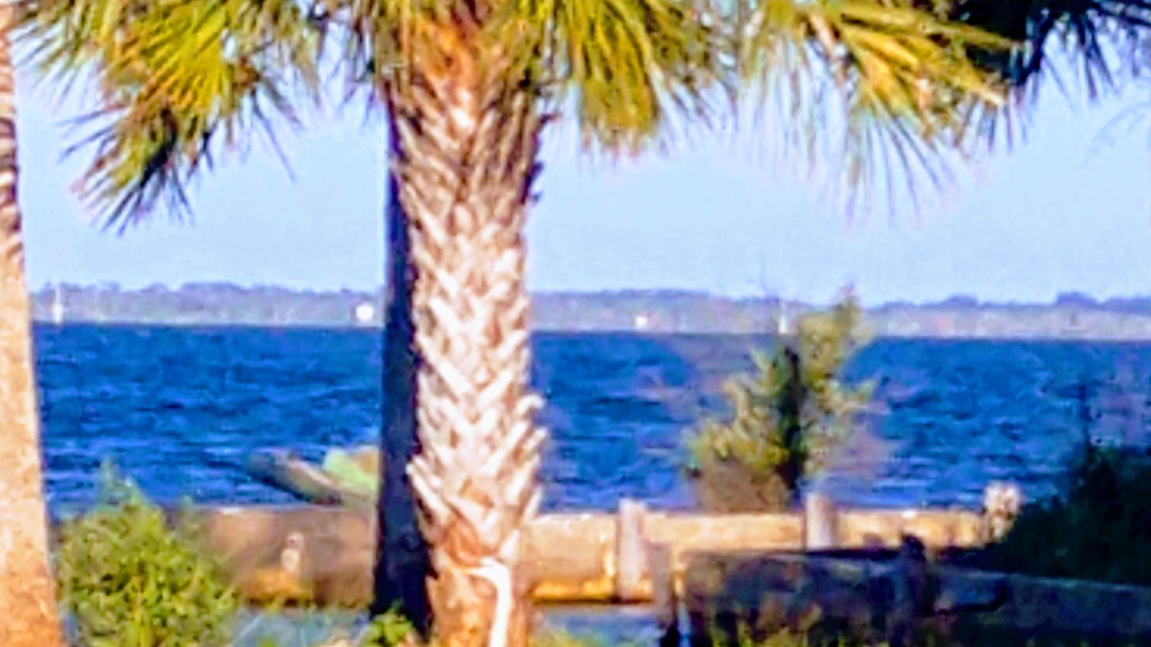 Photo of Others in Titusville